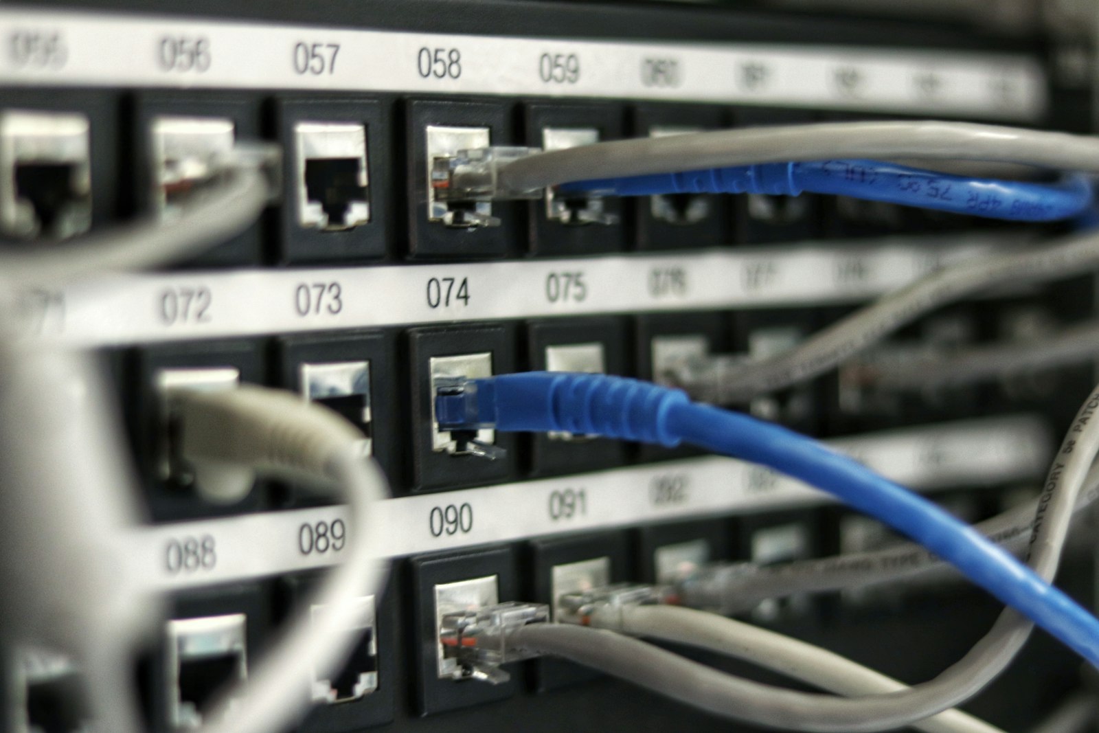 Blue network cables plugged into a numbered patch panel